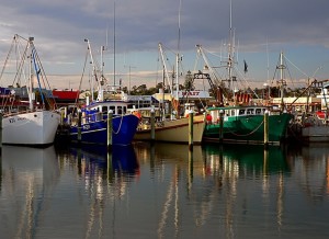 fishing-industry-power-transmission
